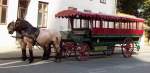 Mit einer 2 PS Pferdekutsche in Lneburg eine Historische Stadtrundfahrten erleben Sept.2010