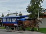 Am Parkplatz in Putgarden stand dieses Pferdegespann bereit um Rundfahrten in der Autofreienzone bei Kap Arkona zu unternehmen.  21.09.11