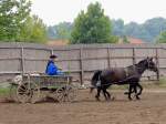 Rasante Kutschenfahrt bei einer Vorfhrung auf einem Ungarischen Reiterhof; 130826