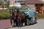 . Warentransport mit Pferdegespann auf der Insel Juist.  10.10.2014