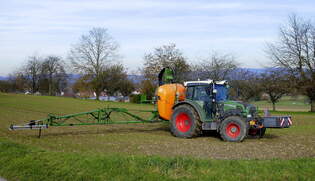Fendt 211 Allradschlepper mit Anbaufeldspritze Amazone UF901 bei der Arbeit am Marchhgel im Breisgau, Nov.2025