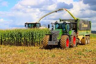 LU Norbert Mser Claas Jaguar 970 mit Fendt Vario 936 Abfahrer in der Wetterau im Oktober 2025