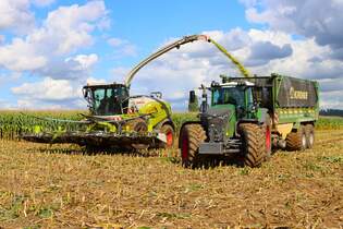 LU Norbert Mser Claas Jaguar 970 mit Fendt Vario 936 Abfahrer in der Wetterau im Oktober 2025