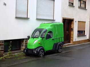 Elektrofrosch Max  Senheim  24.11.2025