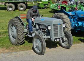 Ferguson Traktor gesehen beim Bauerntag in Brachtenbach.