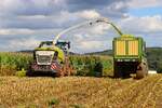 LU Norbert Mser Claas Jaguar 970 in der Wetterau im Oktober 2025