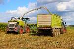 LU Norbert Mser Claas Jaguar 970 mit Claas Cargos 750 in der Wetterau im Oktober 2025