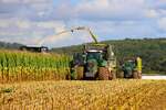 LU Norbert Mser Claas Jaguar 970 mit Fendt Vario 933 und 728 Abfahrer in der Wetterau im Oktober 2025