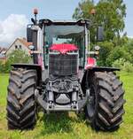 =Frontansicht eines MF 85.265, gesehen beim Ortsjubilum 1000 Jahre Groenbach im Juni 2025