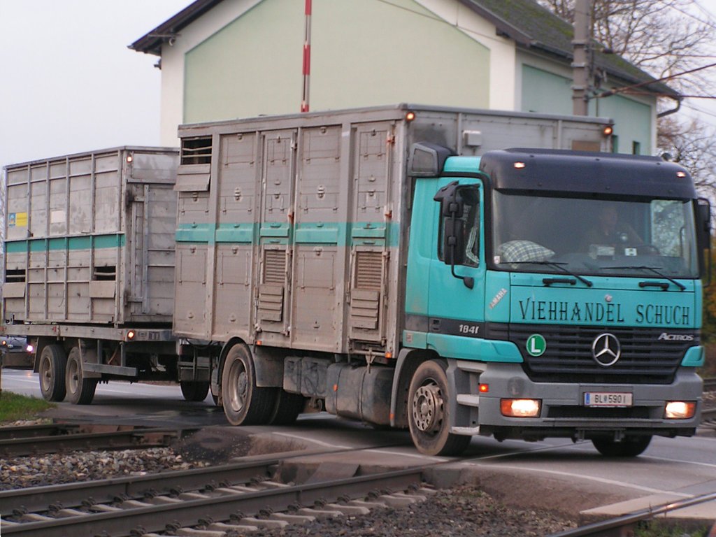 ACTROS1840 mit Groviehtransportaufbau berquert den Bahnbergang der B10 bei Bruck/L;091126