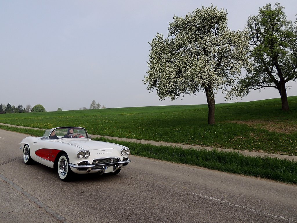 Chevrolet Corvette C1 Roadster interior; wurde zur Maiausfahrt aus der Garage geholt; 130501