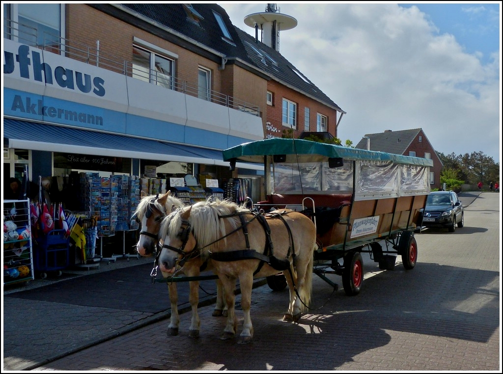 Diese beiden Pferde mit ihrem Planwagen warten auf der Insel Borkum auf Fahrgäste für eine Inselrundfahrt.  12.05.2012