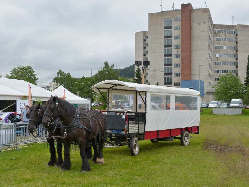 Dieses Pferdegespann stand am 05.07.2013 bereit um eine Runde mit den Besuchern der Landwirschaftsaustellung in Ettelbrück zu drehen.