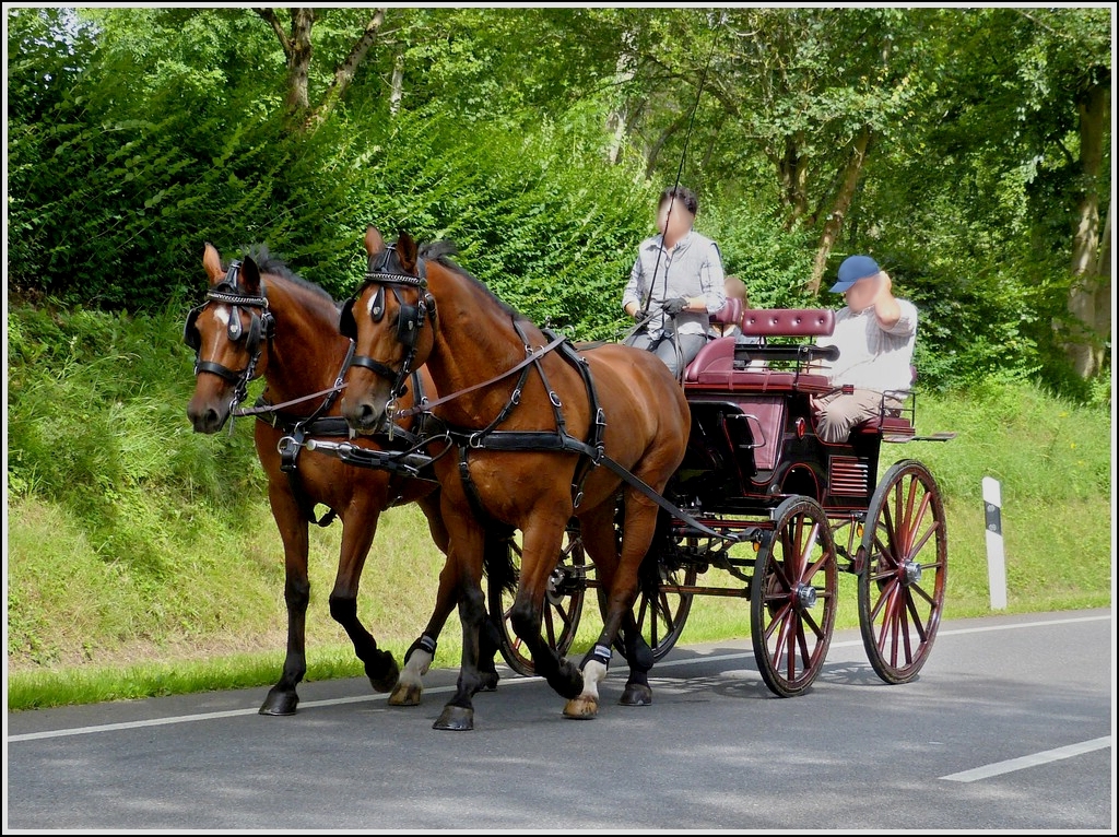 Familienausflug mit der Kutsche, in gemütlicher Gangart wird die leichte Steigung in Angriff genommen, gesehen am 07.07.2012.