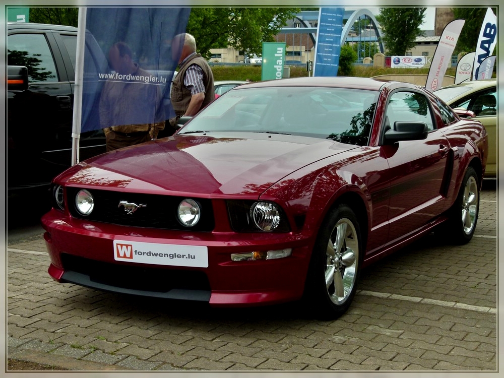 Ford Mustang aufgenommen in Ettelbrck am 14.05.2011.