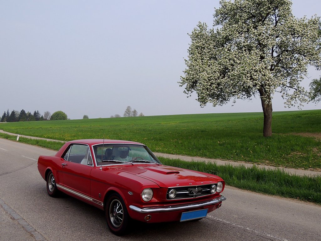 FORD-Mustang unternimmt eine Frhlingsausfahrt; 130501