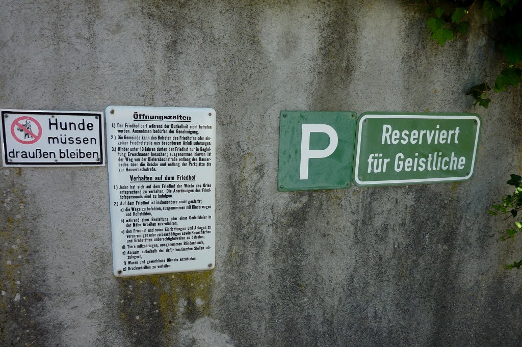 hier gibts wahrscheinlich  Knllchen  fr alle Unglubigen, gesehen im Schwarzwald, Juli 2012