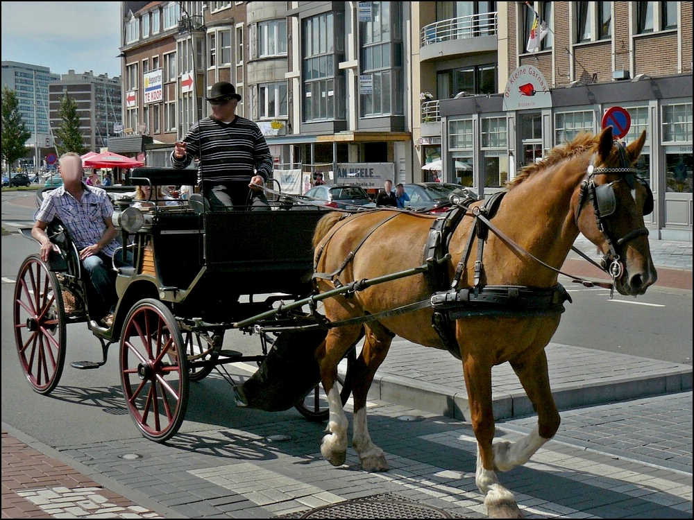 In Oostende werden Stadtrundfahrten mit der Pferdekutsche angeboten und diese finden regen Anklang. 11.08.2010