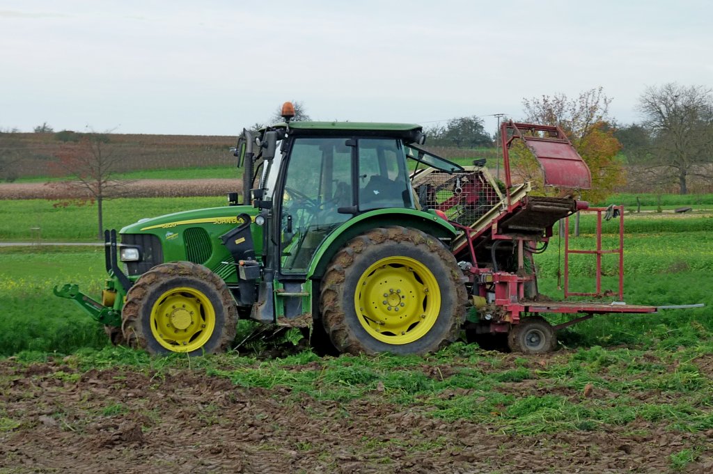 John Deere 5820, mit angebauter Erntemaschine fr Mohrrben, Okt.2012