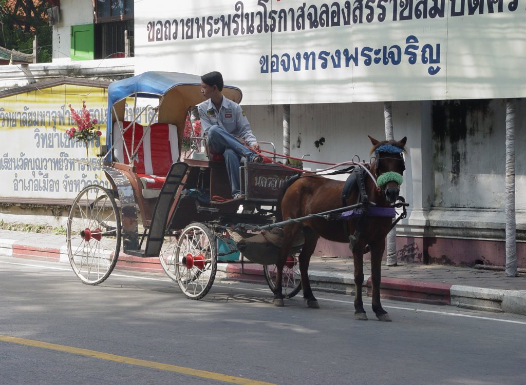 Kutsche in Lampang im Norden Thailands im November 2008