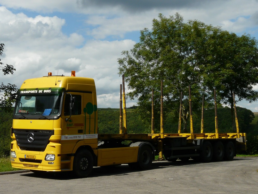 M-B Actros Holztransporter wartet am 15.08.2011 am Straenrand auf den nchsten Einsatz.