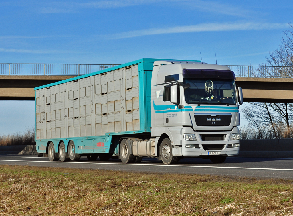 MAN TGX 480 Tiertransporter auf der A61 bei Miel - 07.02.2011