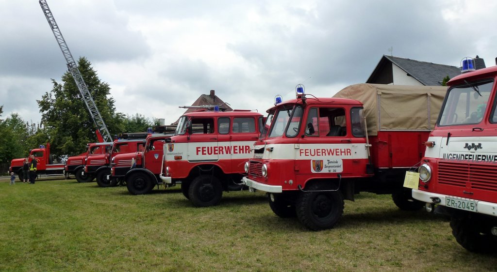 Mehrere Feuerwehroldtimer auf dem Platz. Zusehn beim Fest 125 Jahre Freiwillige Feuerwehr Triebes. Foto 11.08.2012 