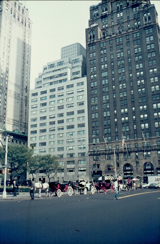 Mehrere Kutschen warten am Central Park in New York auf Kunden. Scan eines Dias aus dem dem April 1975