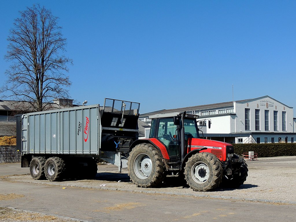MF-6290 mit FLIEGL Gigant-ASW268(Abschiebewagen) vor der Tierzuchthalle Ried i.I.; 130308