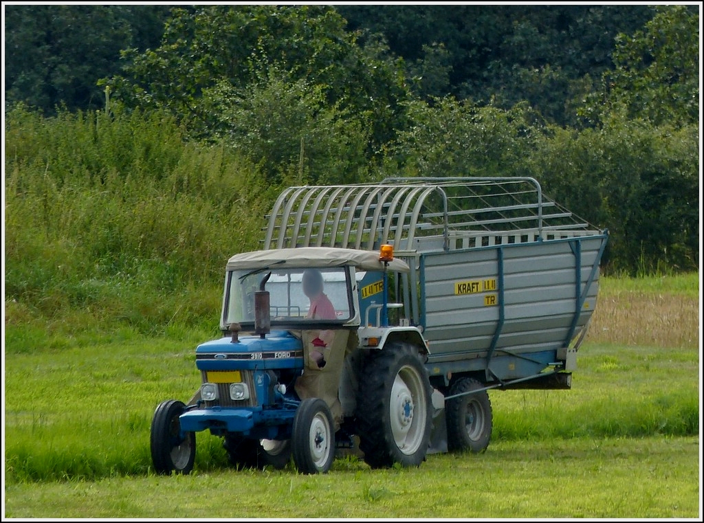 Mit diesem Ford 3910 als Vorspann vor einem Selbsmäherladewagen holt dieser Bauer frisches Grünfutter für seine Tiere zur Stallfüterung. 13.08.2012.