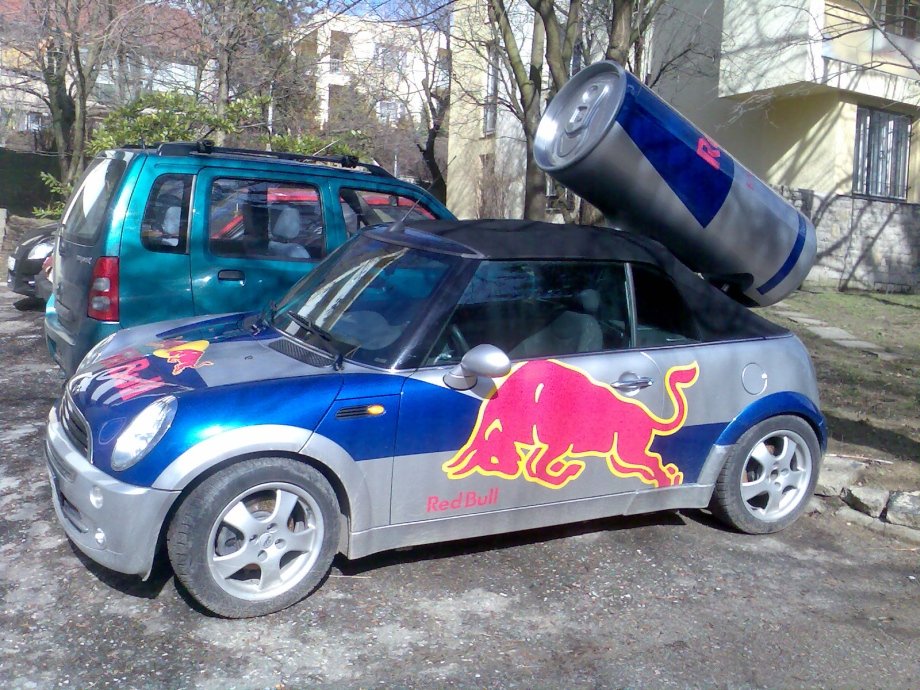 Red-Bull Mini. Foto: 27.02.2010
