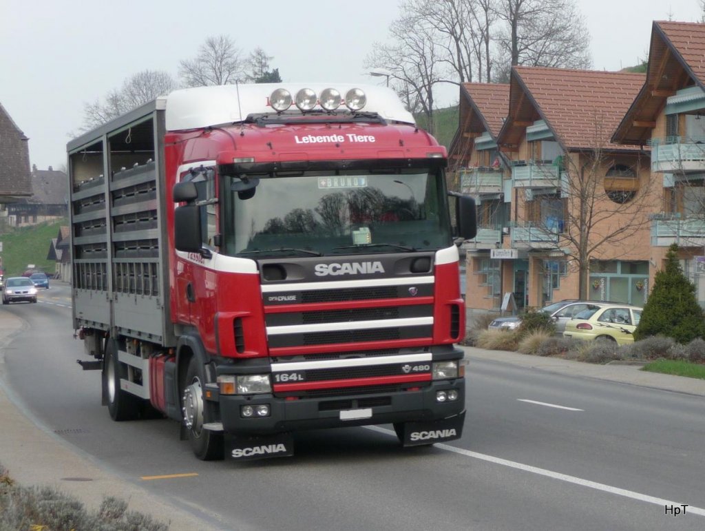 Scania 164L 480 Tiertransporter unterwegs in Zollbrck am 09.04.2010