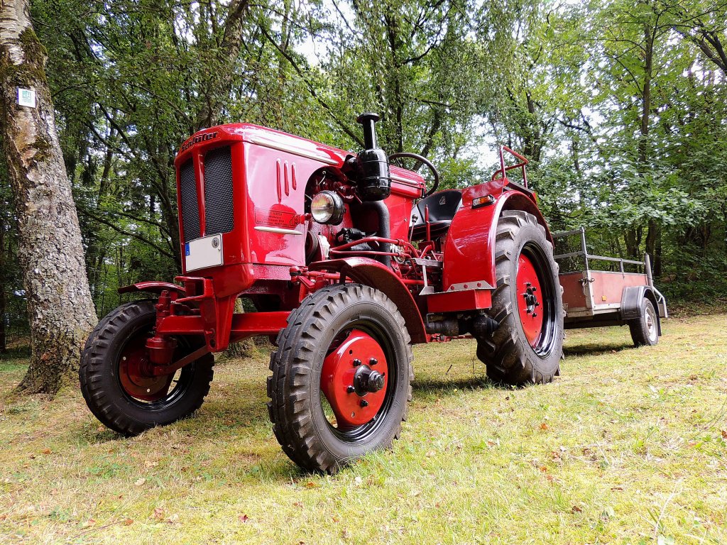 SCHLTER mit kleinem Einachshnger am Parkplatz Cloef; 120826