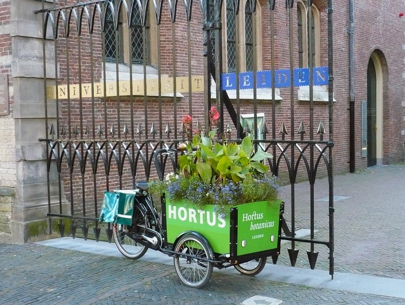 Sehr Grn ist diese Fahrrad beim eingang der Botanischer Garten der Universitt Leiden. Leiden, Niederlande 10-10-2010.
