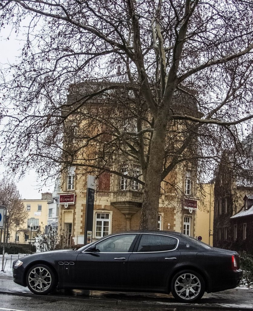 Seitenansicht eines Maserati Quattroporte. Foto: 20.01.2013