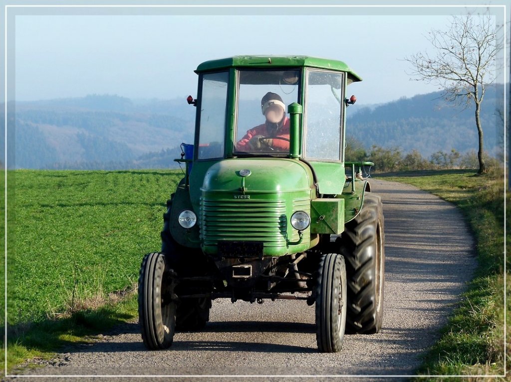 Steyr Traktor 2, gebaut zu beginn der 50ziger Jahre, dabei laut Besitzer, noch fast tglich im Einsatz, aufgenommen bei einem Spaziergang am 14.11.2011