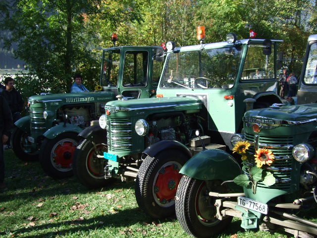 Toprestaurierte schweizer Hrlimnner auf dem Mauracher Traktorenfest 2009