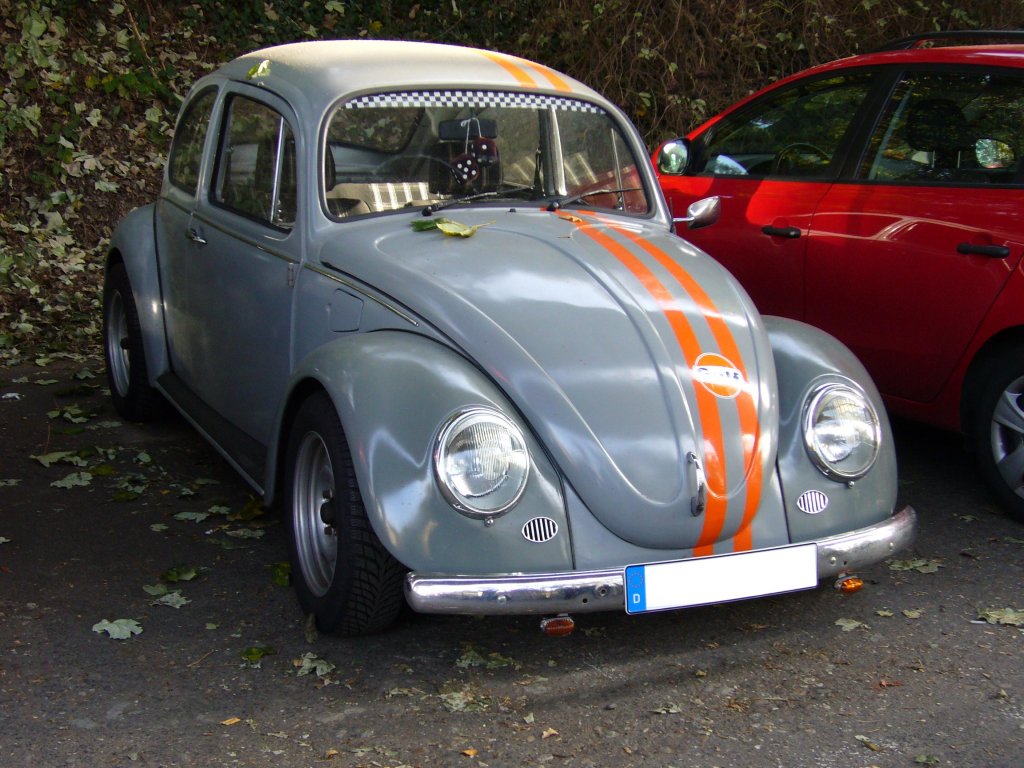 VW Typ 1  Dickbauchkfer , der fahrwerkstechnisch ein wenig modifiziert wirkt. Knigswinter am 27.10.2011.