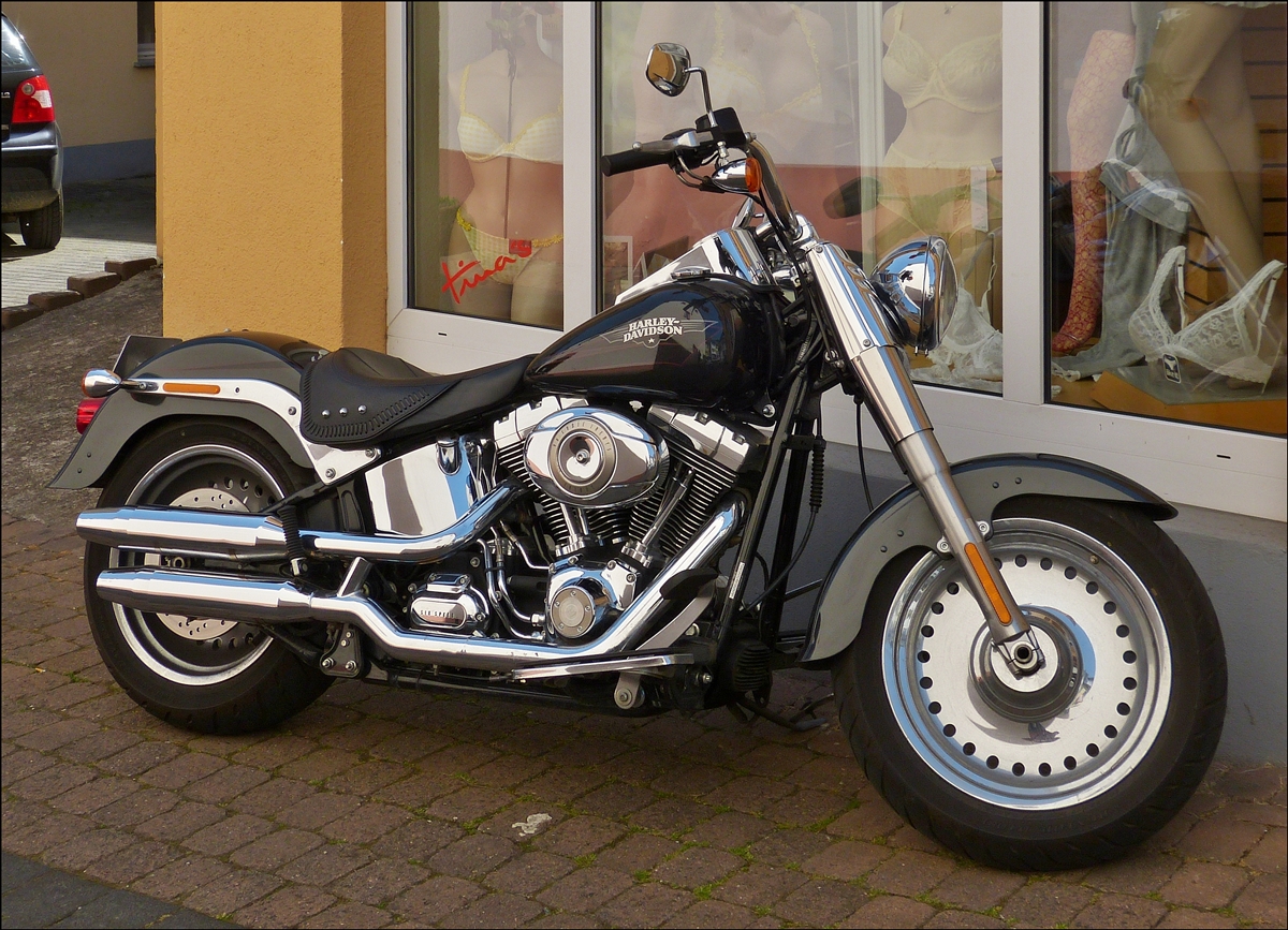. Am 09.06.2014 ist mir diese schöne Harley Davidson Maschine aufgefallen. Typ ?