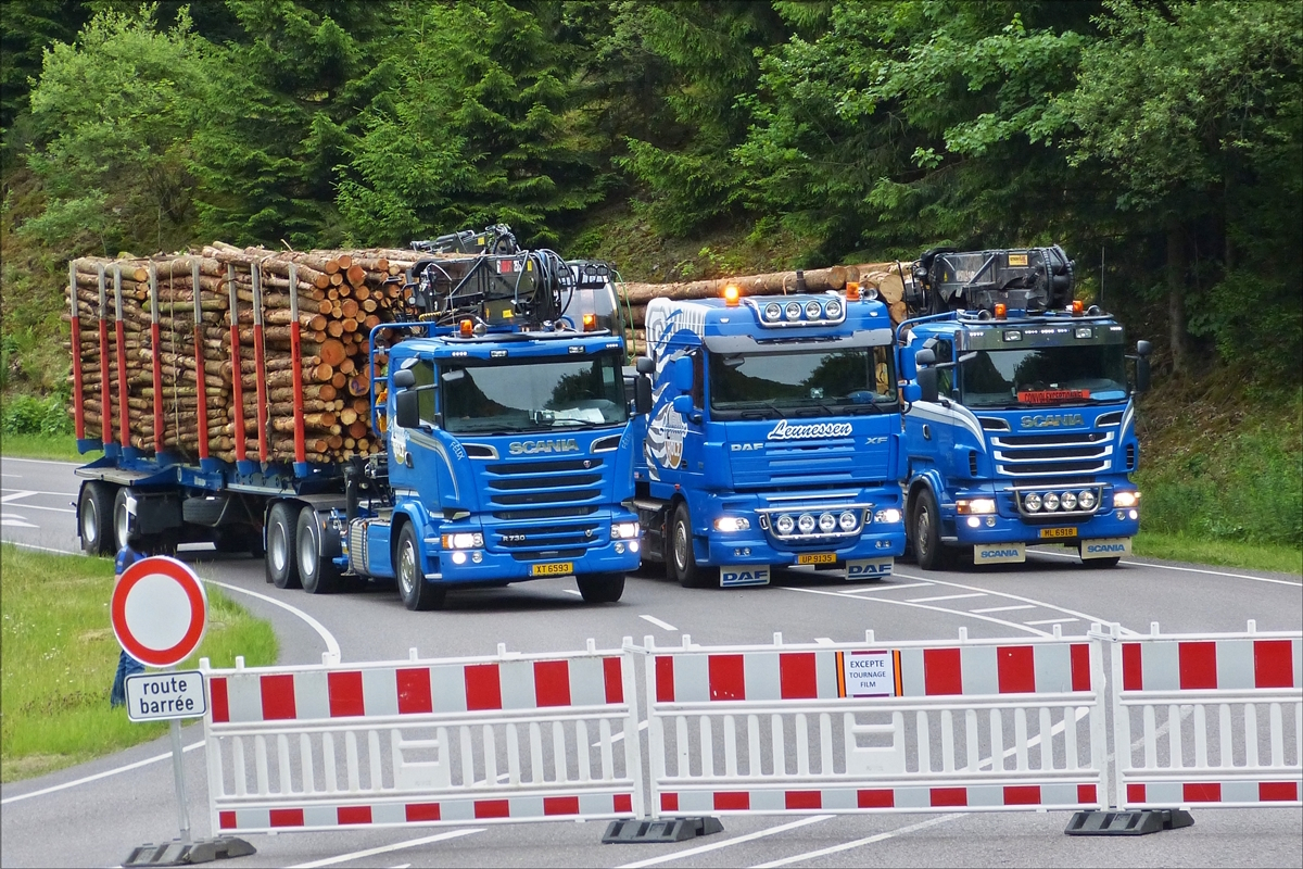  Auf einer wegen Filmaufnahmen gesperrten Strecke standen diese 3 Laster zum Fotografieren in Position. 2 Scania Holztransporter und ein Daf mit Tieflader.  17.06.2017