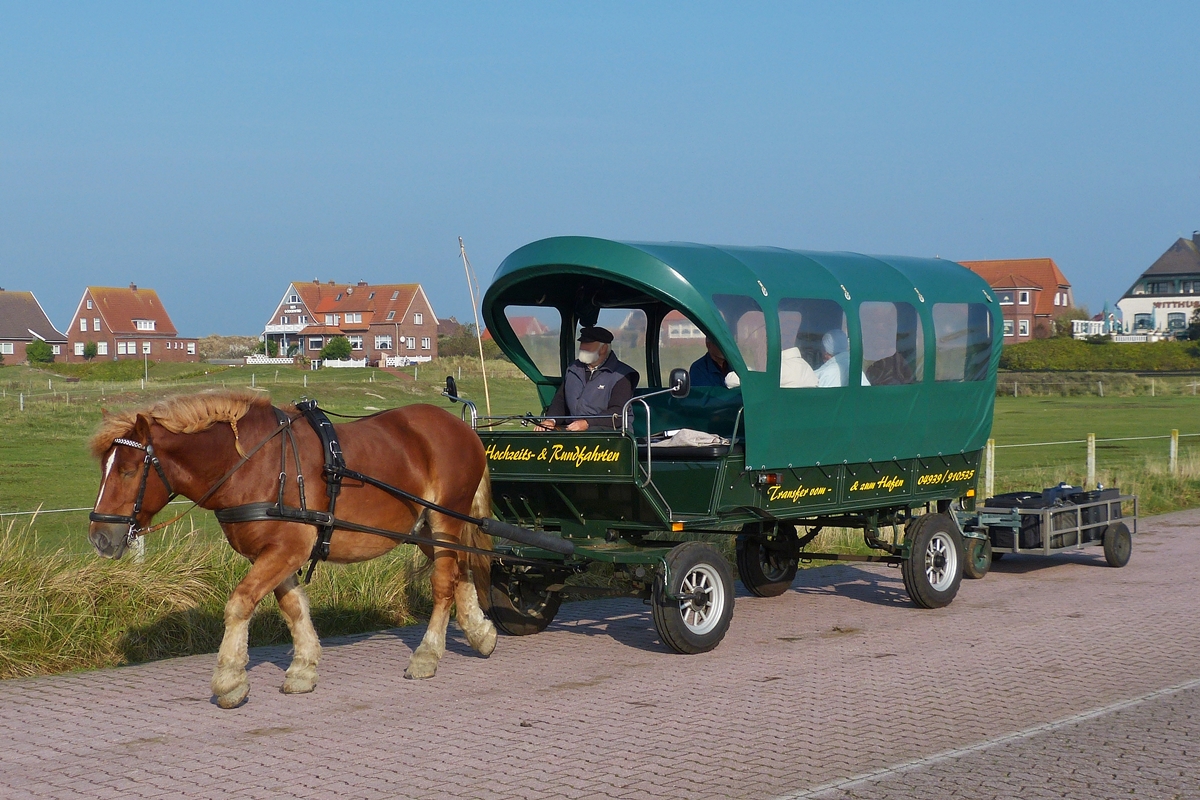 . Mit diesem Planwagen werden ausser Hochzeits- und Inselrundfahrten auch die Feriengste mit ihrem Gepck vom Fhranleger abgeholt bzw hingebracht. Dies gesehen auf der Insel Baltrum am 06.10.2014.