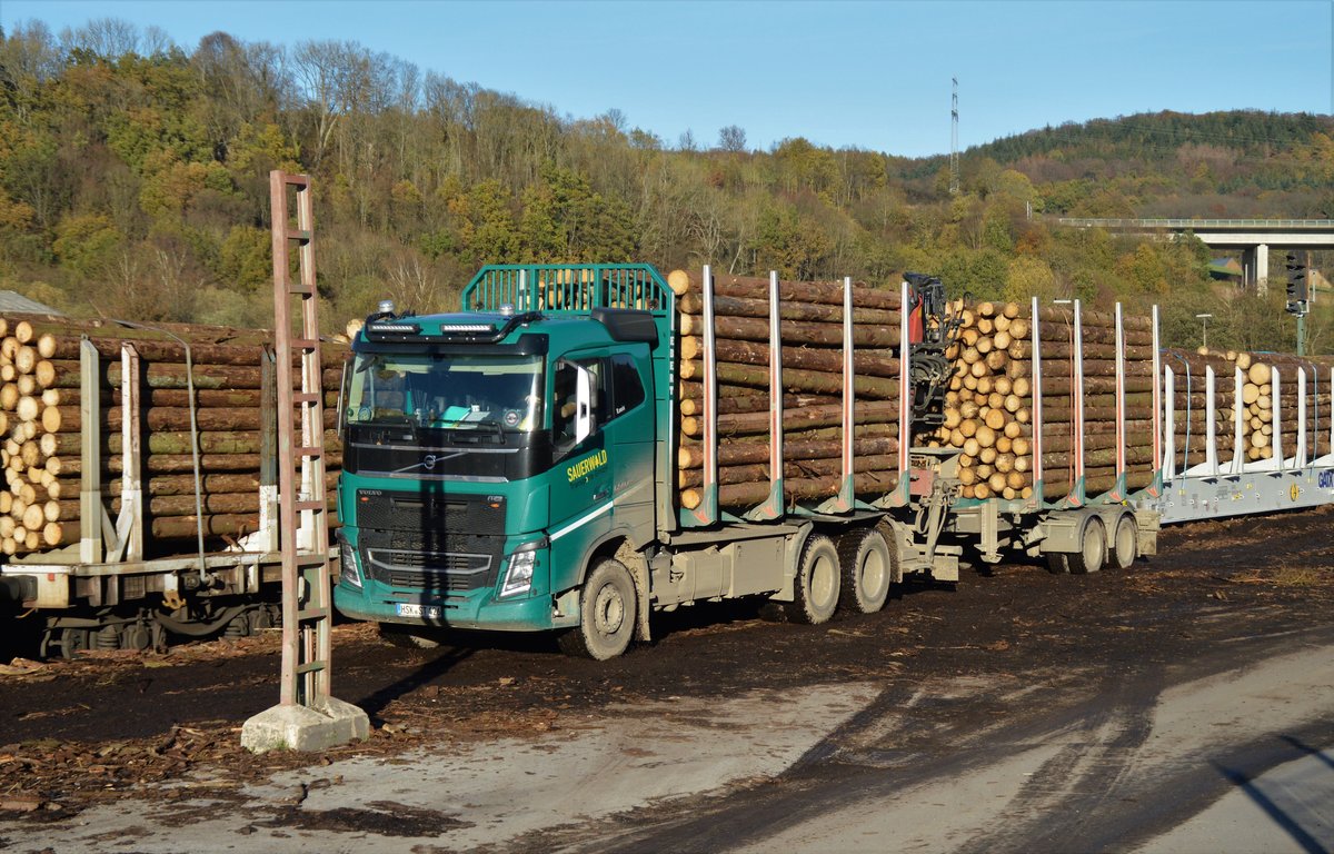 Am 06.11.2020 fand im Bahnhof Arnsberg wieder Holzverladung vom Lkw auf die Bahn statt. Neues Borkenkäfer-Holz wird u.a. mit diesem Volvo FH16 angeliefert.
