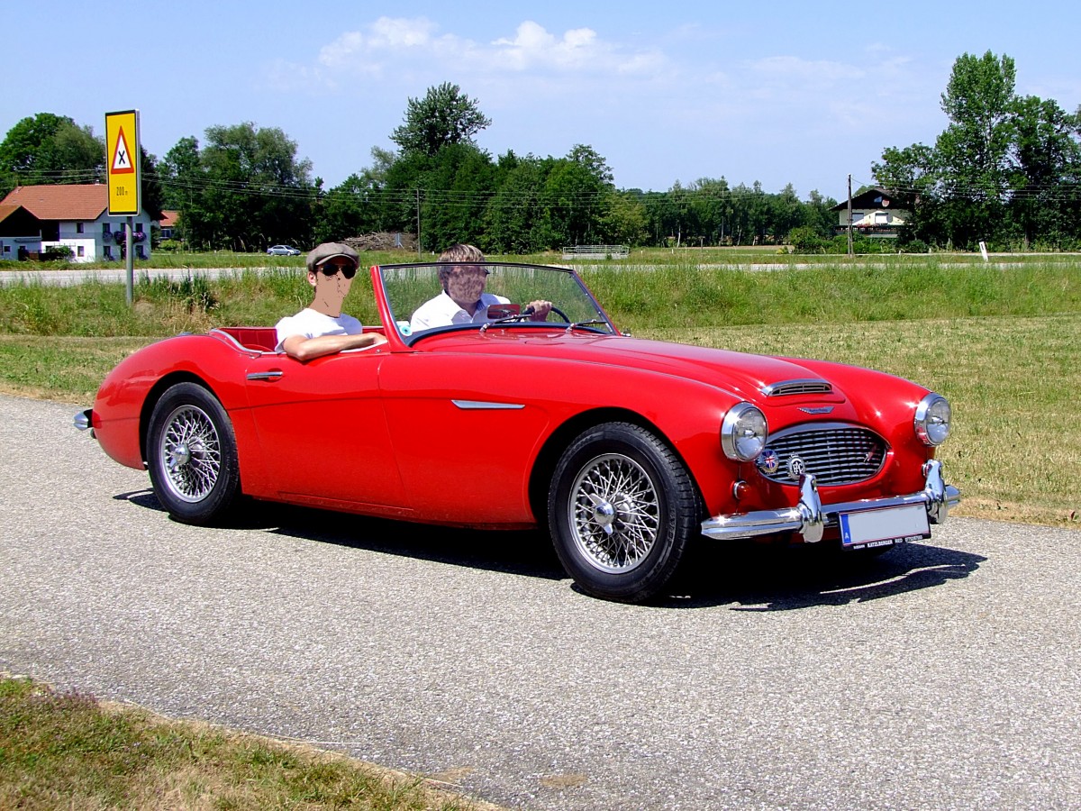 Austin-Healey 3000, wird bei schnem Sommerwetter fr eine Ausfahrt herangezogen; 130728
