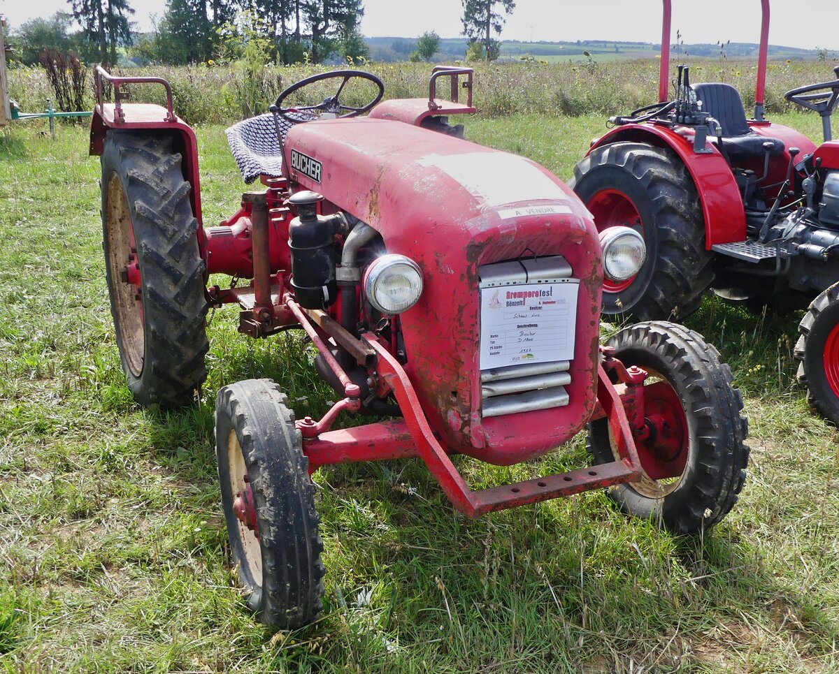 Bucher D 1800, BJ 1957, wurde beim Gromperefest in Binsfeld zum Verkauf angeboten. 09.2026
