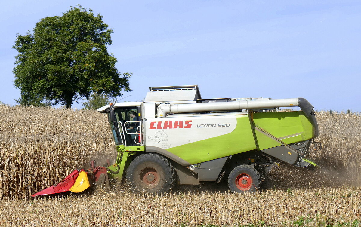 Claas Lexion 520, M�hdrescher bei der Maisernte in der Rheinebene im Breisgau, Sept.2026