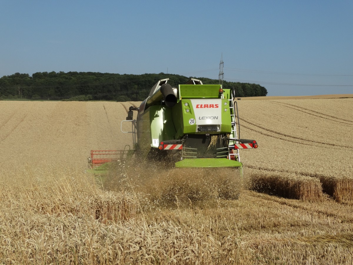 Claas Lexion 630 am 17.07.15 bei Maintal-Hochstadt beim Weizen Dreschen von hinten