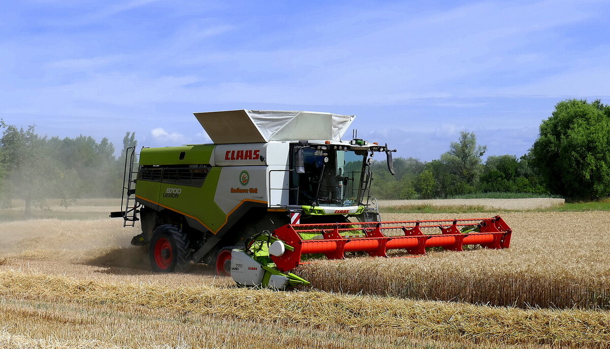 Claas Lexion 8700, bei der Getreideernte in der Ortenau, Jul 2026