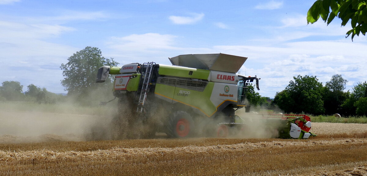Claas Lexion 8700 bei der Getreideernte in der Ortenau, Juli 2026