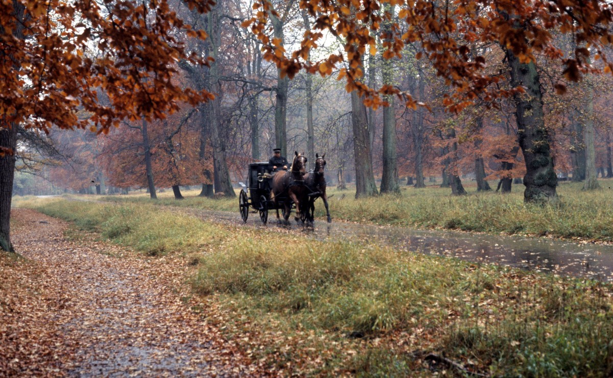 Dänemark, Jægersborg Dyrehave: Eine Pferdedroschke für Ausflüge in dem Waldgebiet ist am 9.November 1974 auf dem Weg zum Stand der Pferdedroschken am Bahnhof Klampenborg.