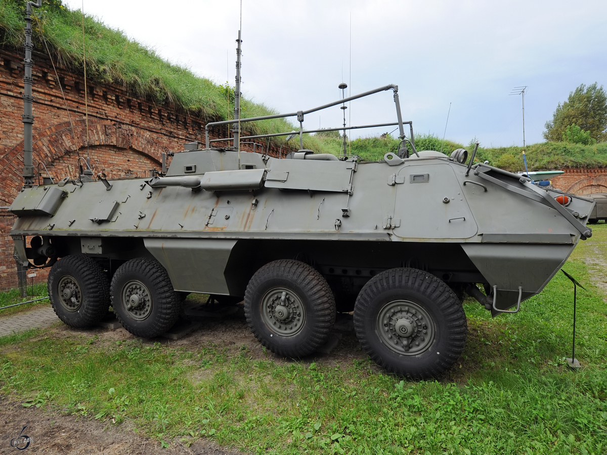 Der amphibische allradgetriebene Truppentransportpanzer SKOT-R3 in der Zweigstelle Fort IX  Sadyba  des Armeemuseums Warschau. (August 2011)